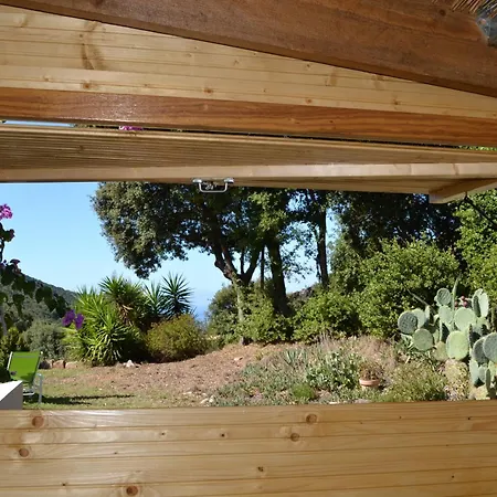 Le Clos Ficarella