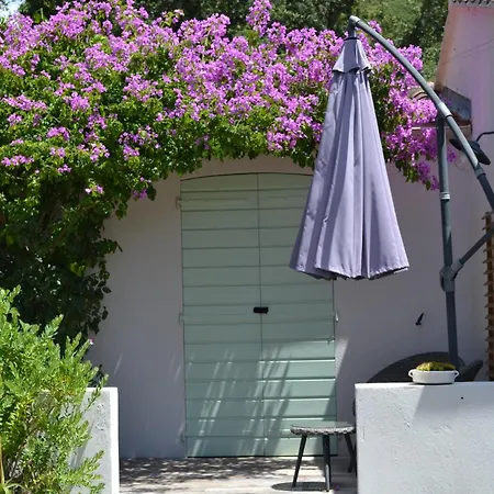 Le Clos Ficarella *